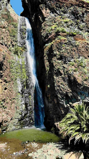 Madeira: Sunny South Side - Cabo Girão, Waterfalls, C. Lobos - Is $88 a fair price?