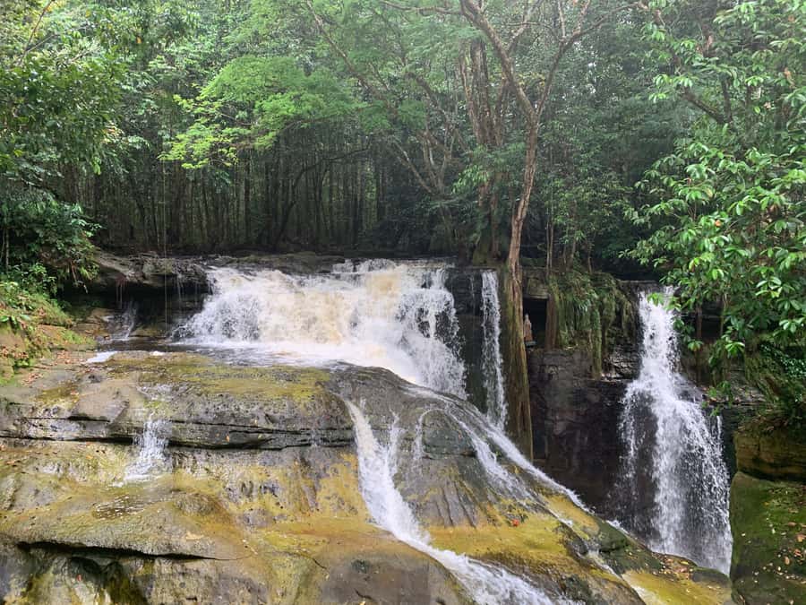 Manaus: Presidente Figueiredo Caves and Waterfalls Tour - Key points to know before booking