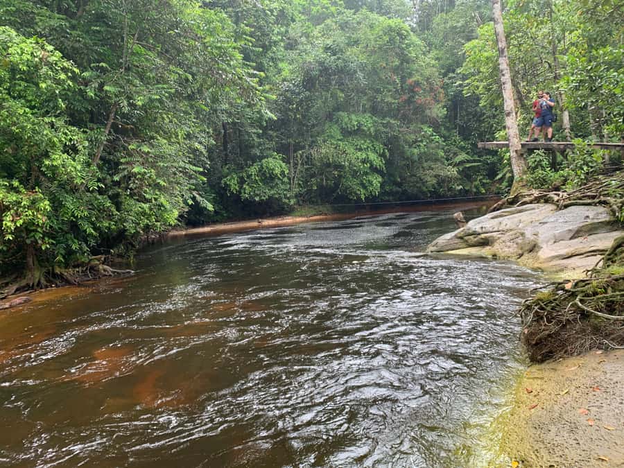 Manaus: Presidente Figueiredo Caves and Waterfalls Tour - Waterfalls, swimming, and the day’s best cooling break