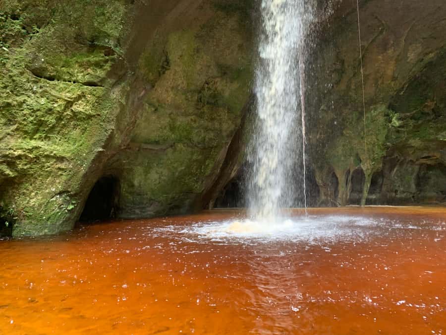 Manaus: Presidente Figueiredo Caves and Waterfalls Tour - What the guide adds to the experience