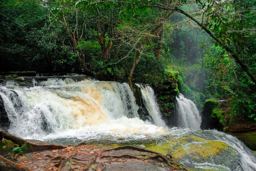 Manaus: Presidente Figueiredo Caves and Waterfalls Tour - Hotel pickup and the road north