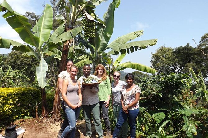 Marangu waterfall & Coffee making Cultural Tour | BURIGI CHATO SAFARIS CO LTD - Chagga Live Museum and everyday traditions