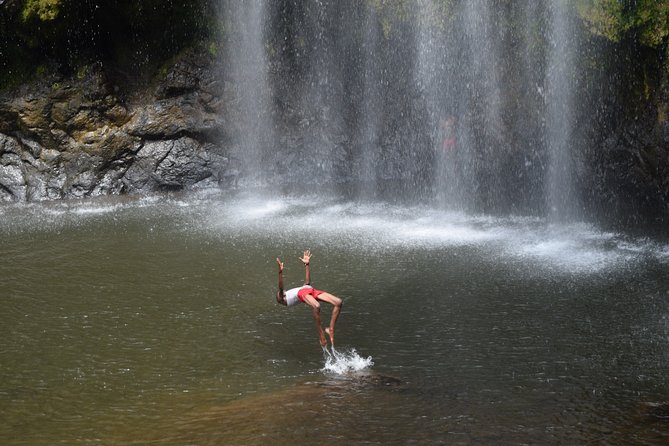 Marangu waterfall & Coffee making Cultural Tour | BURIGI CHATO SAFARIS CO LTD - A hot local meal and banana beer