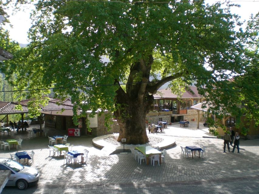 Marmaris Village Tour, Turgut Waterfalls and Mermaid Sand - Bayir’s pine honey and the changing program