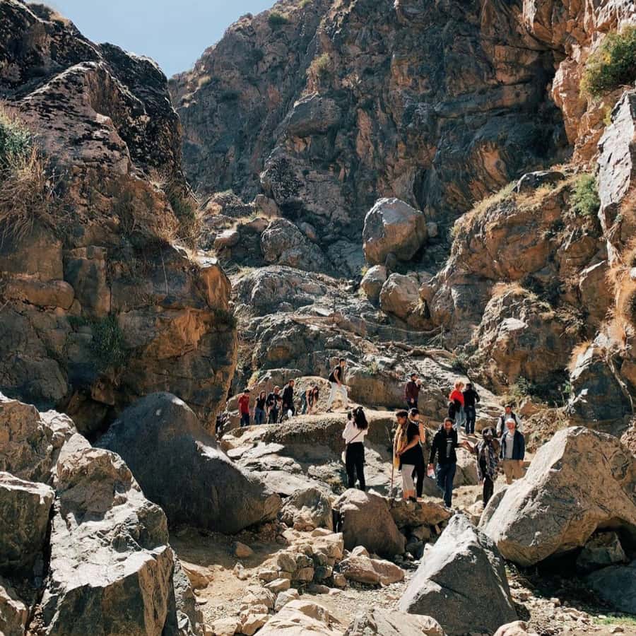 Marrakech 3 Valleys Private Tour, Waterfalls and Mountains - Sidi Fares Forest and two photo stops
