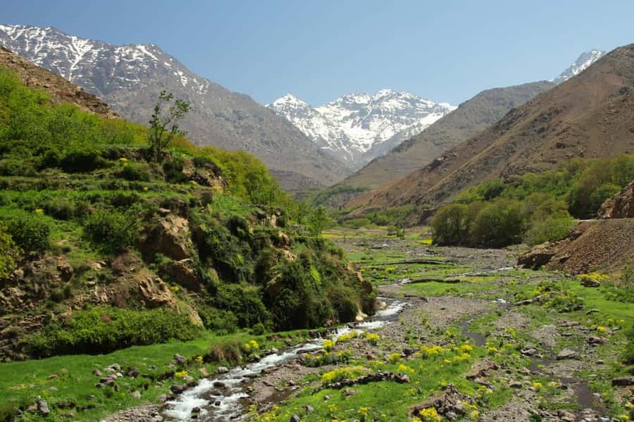 Marrakech: Agafay Desert, Atlas mountains & Waterfalls Tour - What to bring and who should book