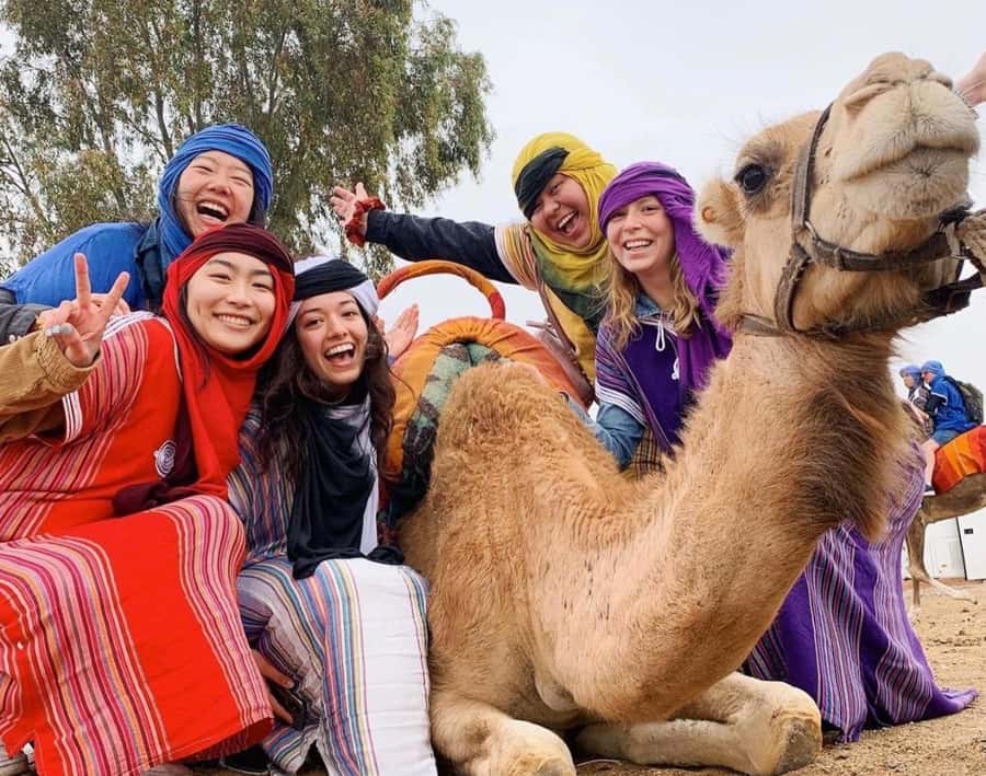 Marrakech: Agafay Desert, Atlas mountains & Waterfalls Tour - The Agafay Desert camel ride
