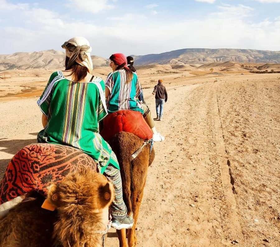 Marrakech: Atlas Mountains, Agafay Desert, Waterfall & Lunch - Key points to know before you book
