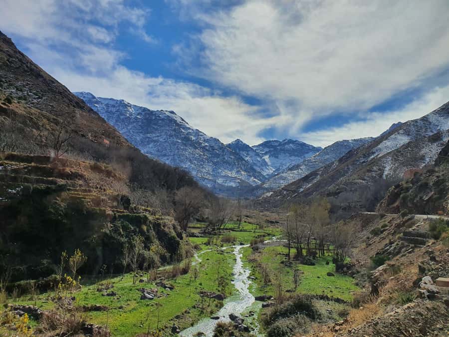 Marrakech: Atlas Mountains, Agafay Desert, Waterfall & Lunch - Leaving Marrakech at 9:00 a.m. for the Atlas foothills