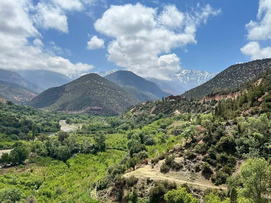 Marrakech: Atlas Mountains, Agafay Desert, Waterfall & Lunch - A local market on Tuesday or Saturday
