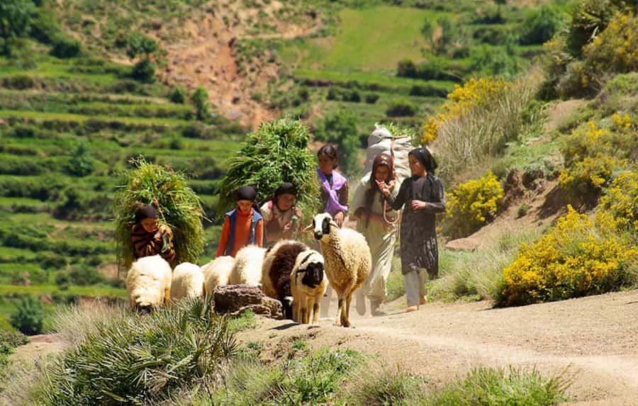 Marrakech Atlas Mountains, Berber Villages & Waterfall Tour - A possible market stop on Tuesday or Saturday