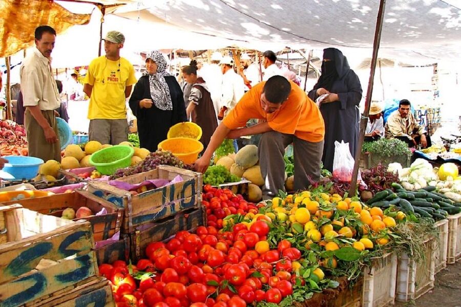 Marrakech: Atlas Mountains, Camel Ride, Waterfalls, & Lunch - What the $19 price really buys you