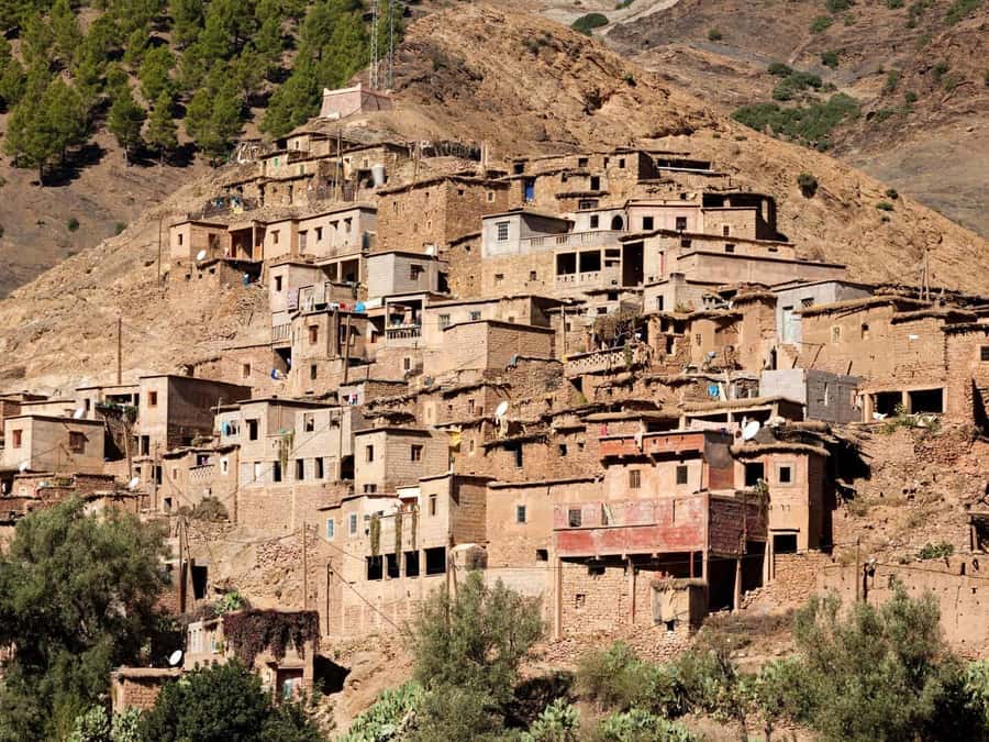 Marrakech: Atlas Mountains Day Trip, 3 Valleys & Waterfalls - Argan oil, with a practical warning