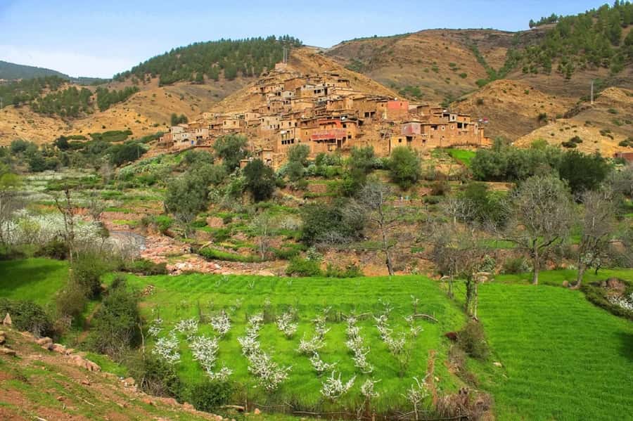 Marrakech: Atlas Mountains Day Trip, 3 Valleys & Waterfalls - Asni Valley and the weekly market