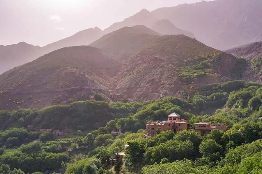 Marrakech: Atlas Mountains Day Trip, 3 Valleys & Waterfalls - Guide quality and the human side of the day