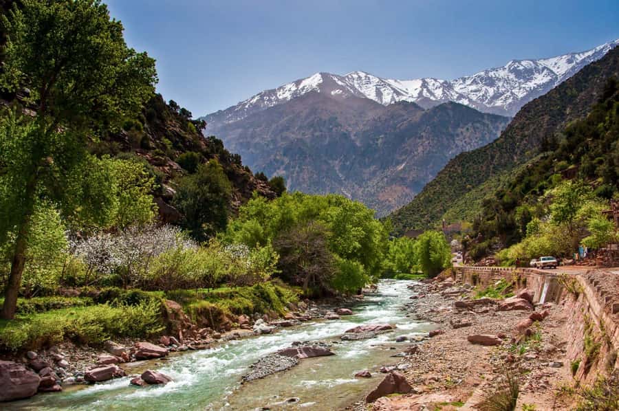 Marrakech:Atlas Mountains, Ourika Valley Day Trip,Waterfall - The timing problem to take seriously