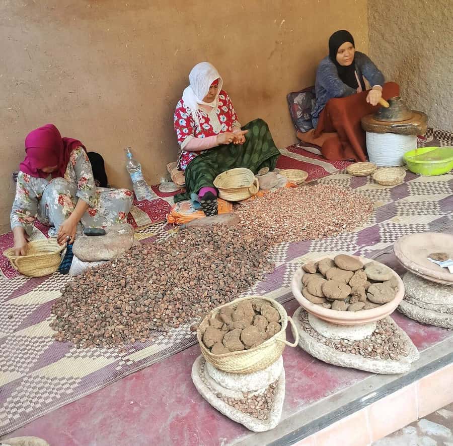 Marrakech: Atlas Mountains, Ourika Valley, Waterfall & Guide - Berber villages and the Argan oil cooperative