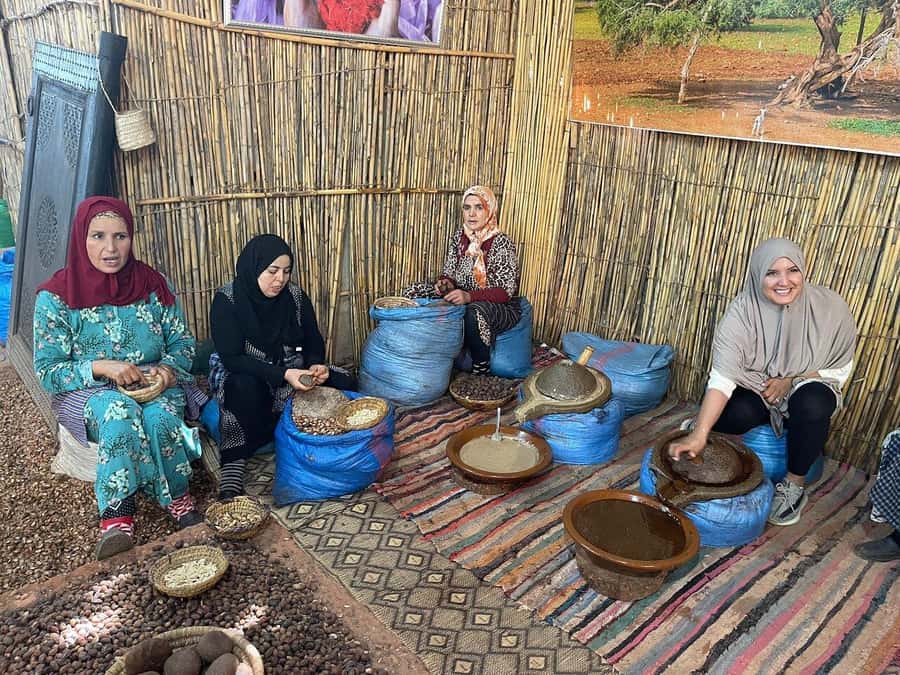 Marrakech: Atlas Mountains, Ourika Valley, Waterfall & Guide - Who should book this Ourika Valley day trip?