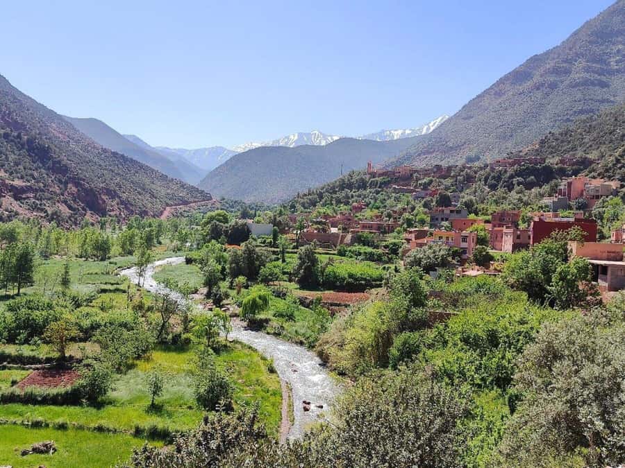 Marrakech: Atlas Mountains, Ourika Valley, Waterfall & Lunch - Is the $16 price good value?