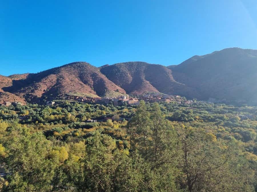 Marrakech: Atlas Mountains, Ourika Valley, Waterfall & Lunch - Final verdict: book it for variety and value