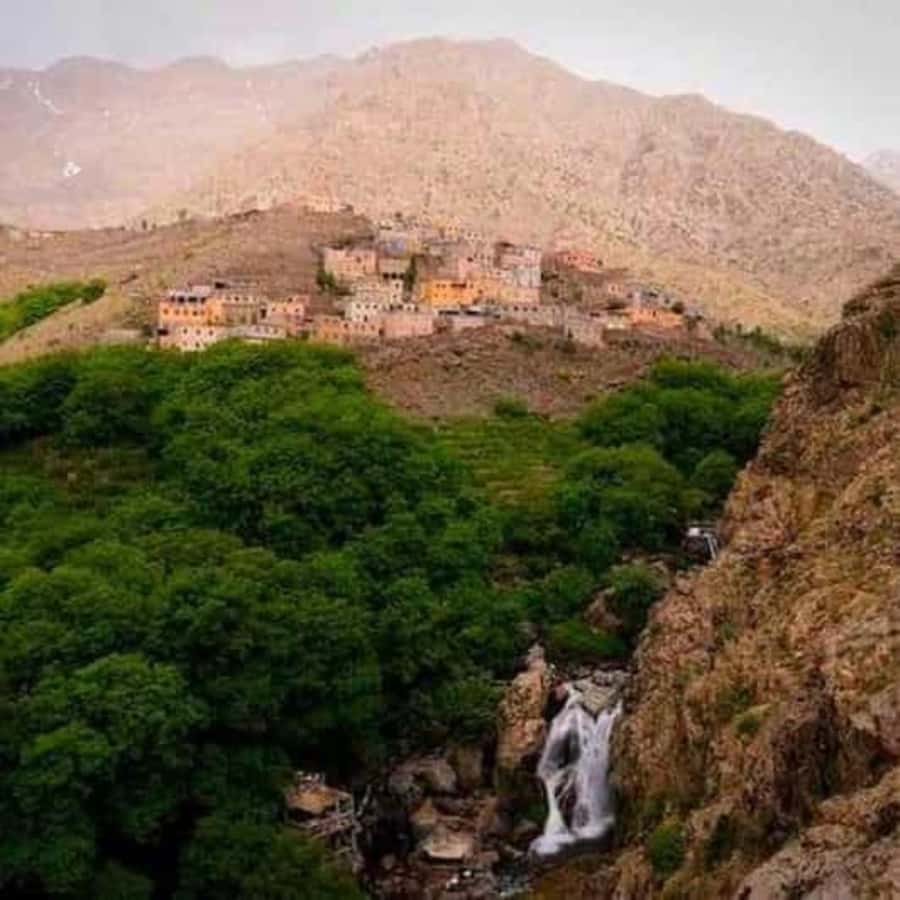 Marrakech: Atlas Mountains & Valleys Waterfall Hike w/ Lunch - Lunch above the valley