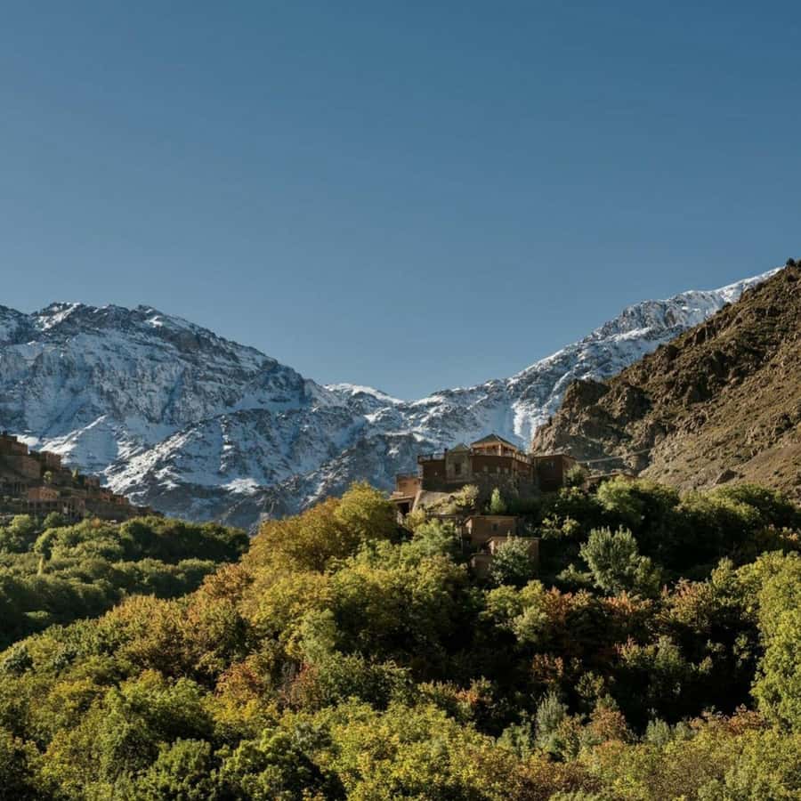 Marrakech: Atlas Mountains & Valleys Waterfall Hike w/ Lunch - Local guides make the difference