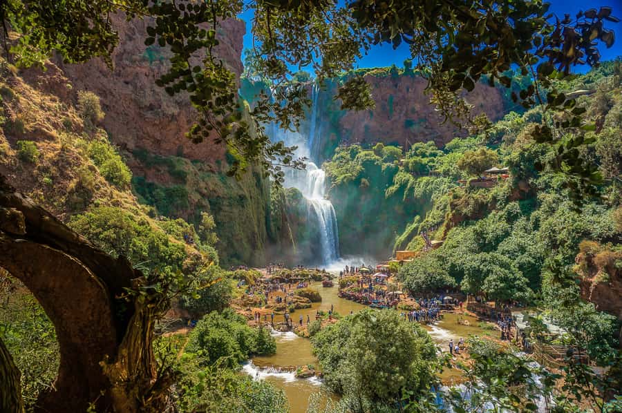 Marrakech: Day Tour to Ouzoud Waterfalls with Boat Trip - Lunch with a view, but check the bill