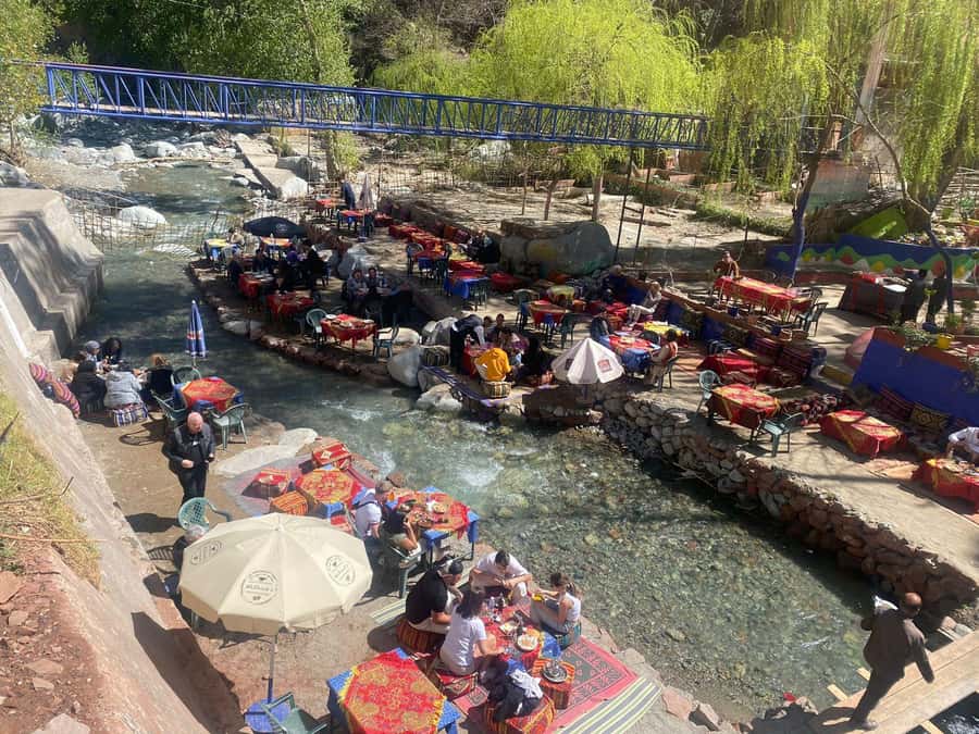 Marrakech: Day Trip To Atlas Mountains Ourika Waterfall - Who should choose this day trip?