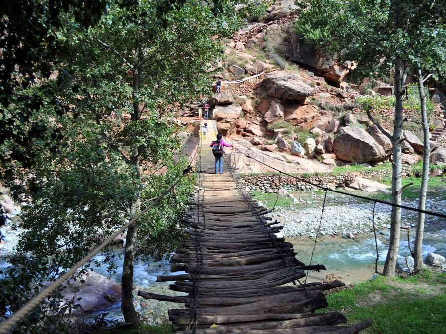 Marrakech Day Trip to Ourika valley & Waterfalls - Five things to know before you go