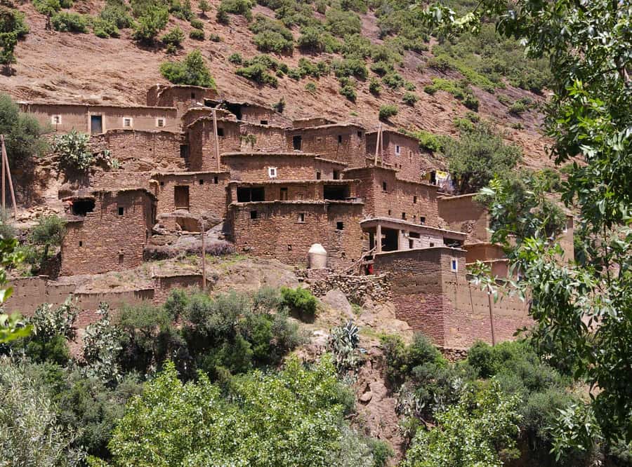 Marrakech Day Trip to Ourika valley & Waterfalls - Meeting a Berber family over mint tea