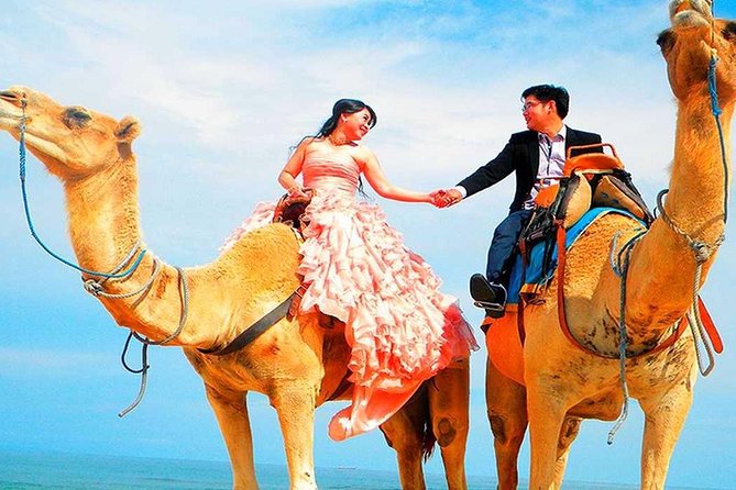 Marrakech High Atlas mountains 3 Valleys waterfalls & Camel Ride - The Argan Women’s Cooperative
