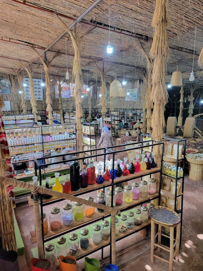 Marrakech: Ourika Valley, Atlas Mountains & Waterfalls Tour - Guides and drivers make a real difference