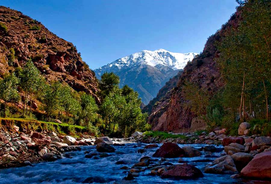 Marrakech: ourika valley Atlas Mountains & Waterfalls Trip - Key points at a glance