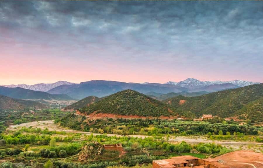Marrakech: Ourika Valley Day Trip & Waterfalls Hike - Seeing how Argan oil is made