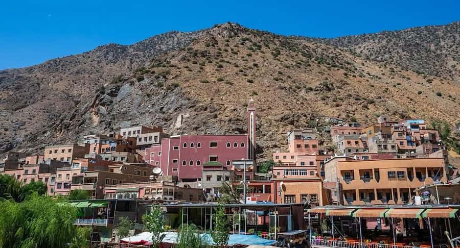 Marrakech: Ourika Valley Day Trip & Waterfalls Hike & Lunch - Who Will Enjoy This Trip Most?