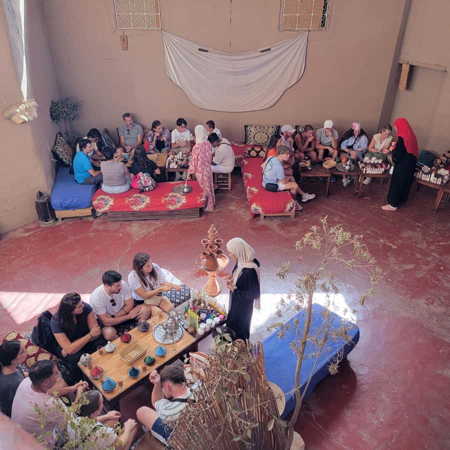 Marrakech: Ourika Valley & Setti Fatma Waterfalls with Lunch - Who should book this Ourika Valley trip?