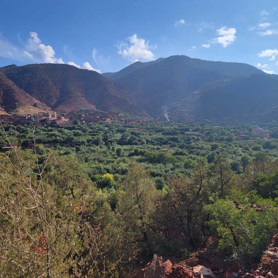 Marrakech: Ourika Valley & Setti Fatma Waterfalls with Lunch - Argan oil, craft, and the shopping stop
