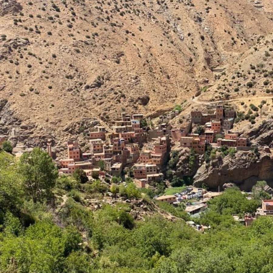 Marrakech: Ourika Valley & Setti Fatma Waterfalls with Lunch - Reaching Setti Fatma and the waterfall trail