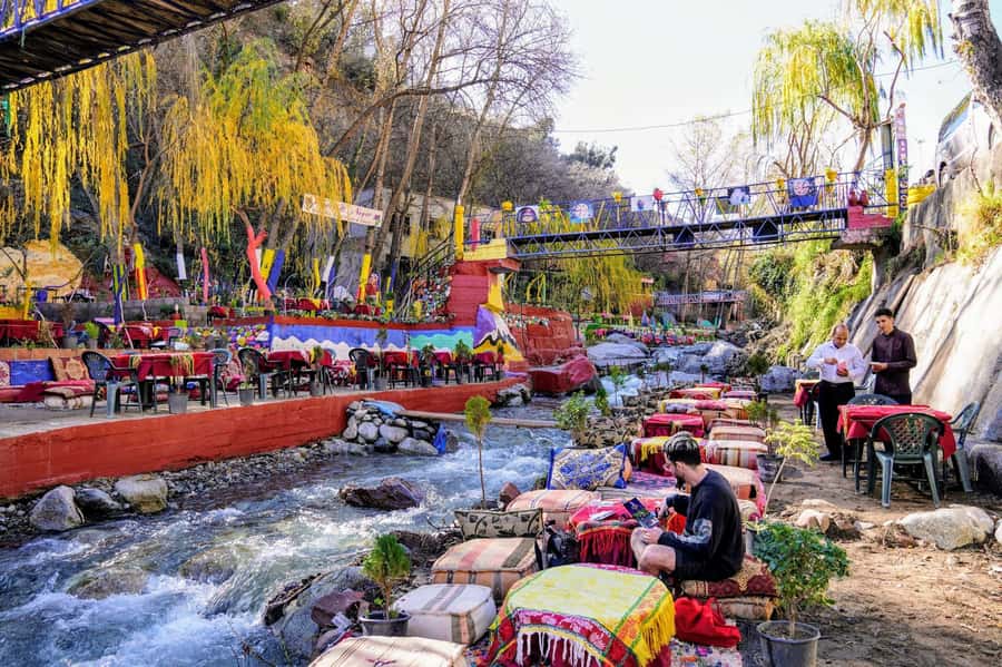 Marrakech: Ourika Valley Trip with Waterfalls, Guide & Lunch - Key points to know before you book