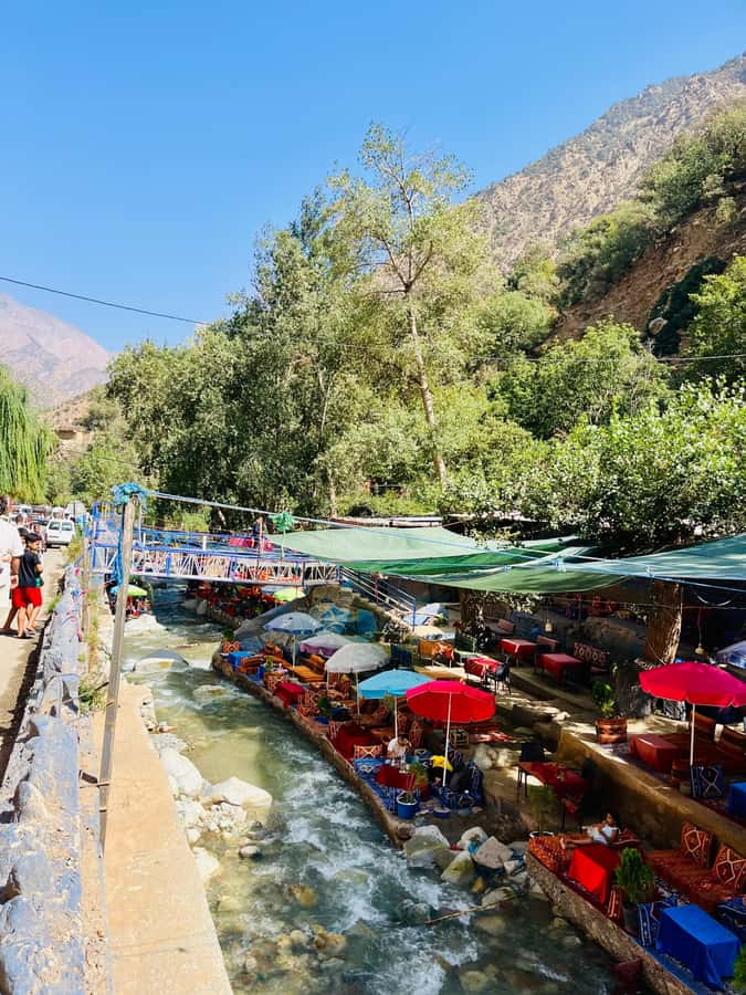 Marrakech: ourika valley & waterfall Day Trip with guide - Tea and argan oil at the women’s cooperative