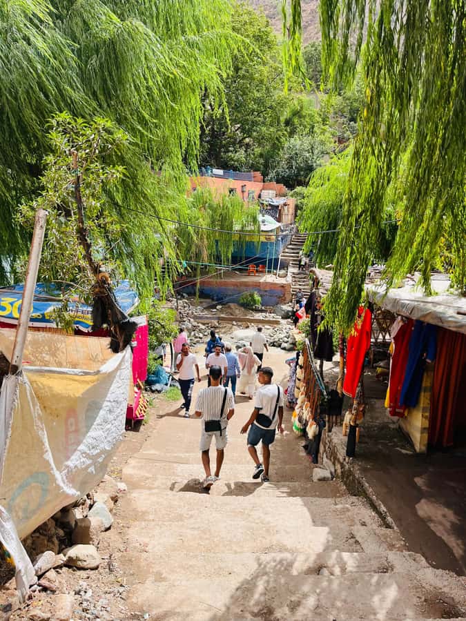 Marrakech: ourika valley & waterfall Day Trip with guide - The $11 price and what it covers