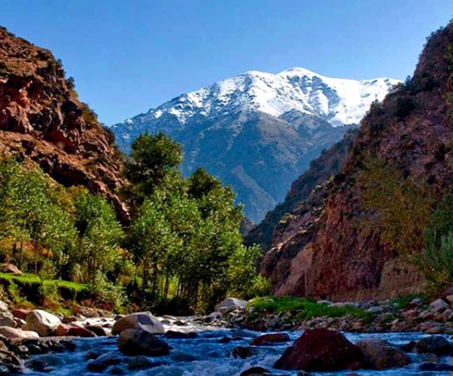 Marrakech: Ourika Valley,Waterfalls, Atlas Luxury Day trip - Setti Fatma and the walk to seven waterfalls