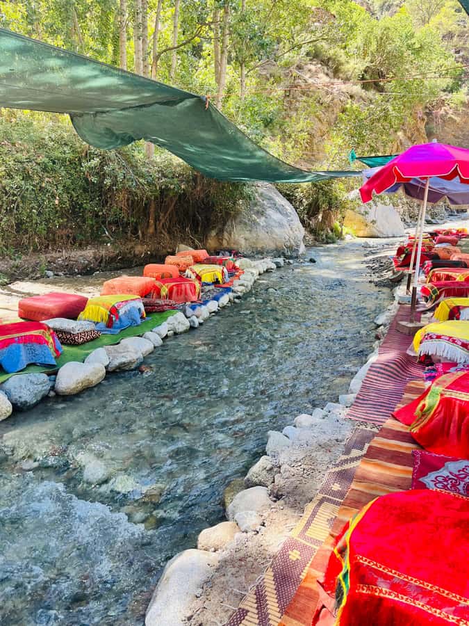 Marrakech: Ourika Valley Waterfalls & Atlas Mountains Trip - The argan oil cooperative: useful, but expect shopping