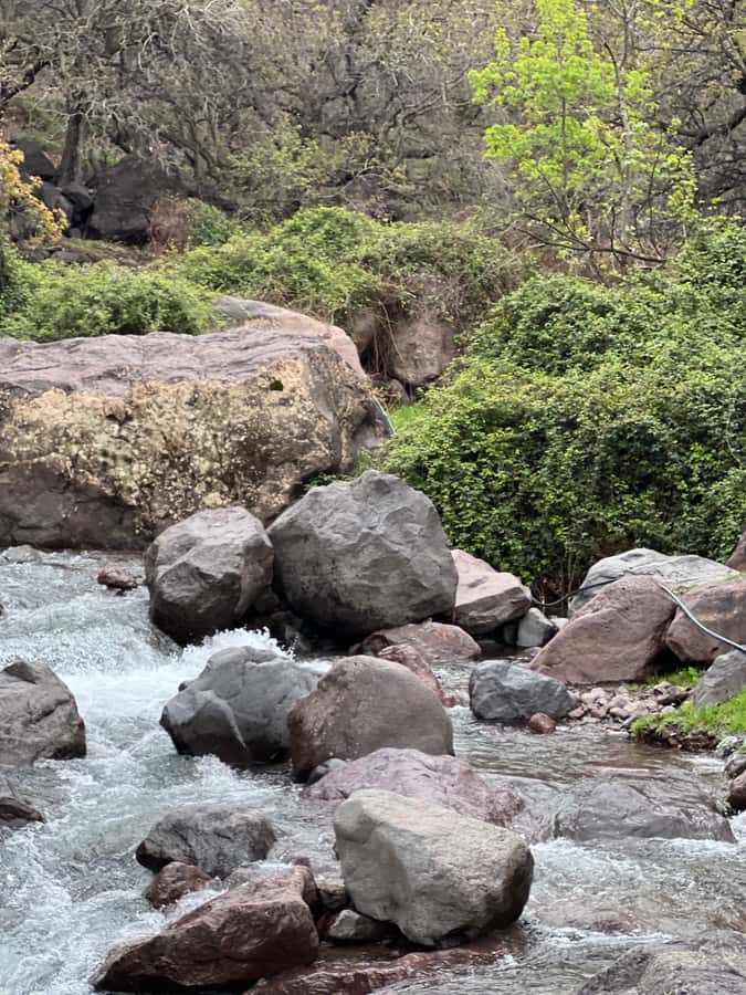 Marrakech: Ourika Valley Waterfalls Hike & Traditional Lunch - Guides, drivers, and the human side of the day