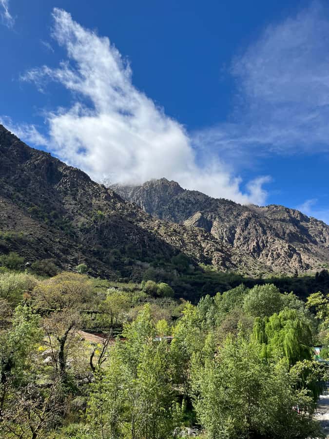 Marrakech: Ourika Valley Waterfalls Hike & Traditional Lunch - Is $25 good value?