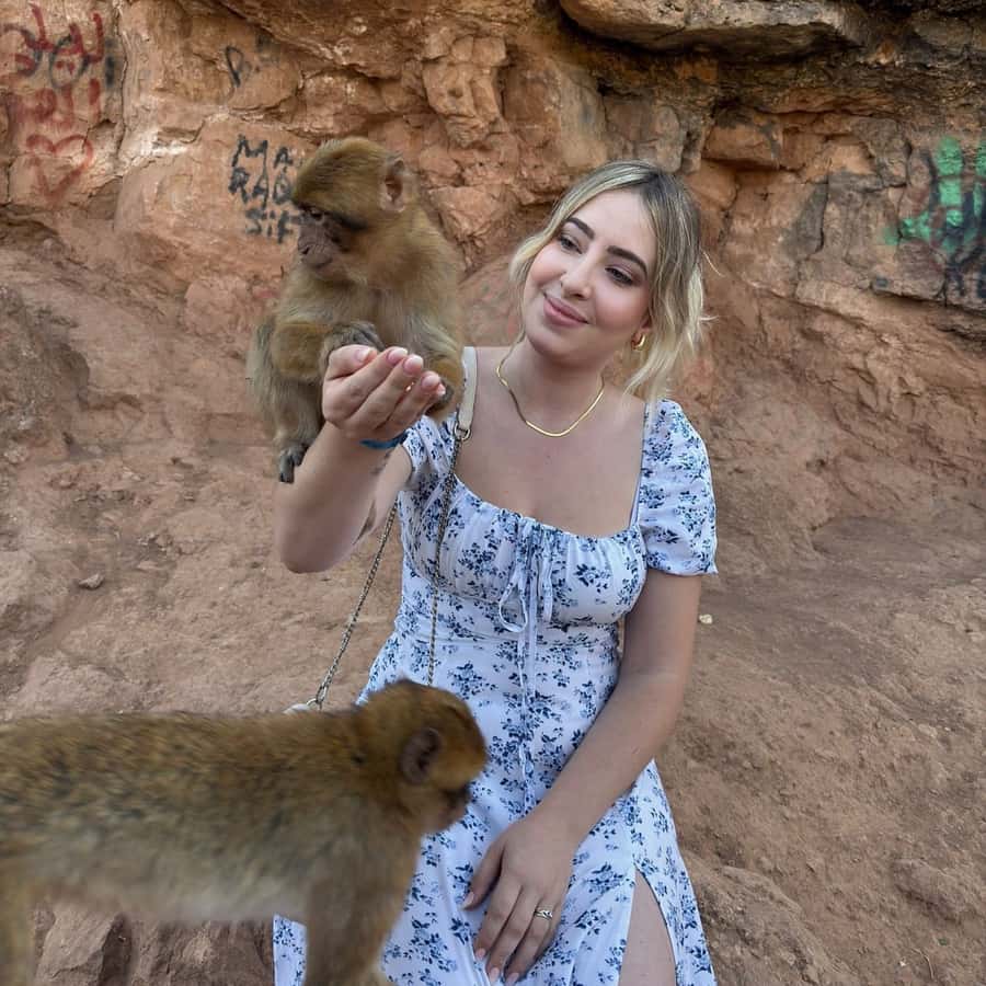 Marrakech: Ouzoud Waterfall, Guided Hike, Boat Ride & Lunch - The return to Marrakech