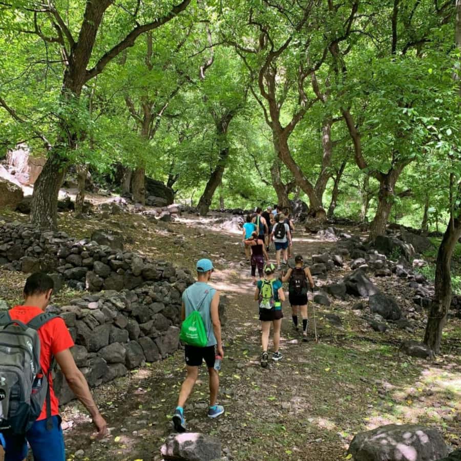 Marrakech: Ouzoud Waterfall, Guided Hike, Boat Ride & Lunch - The three-hour drive from Marrakech