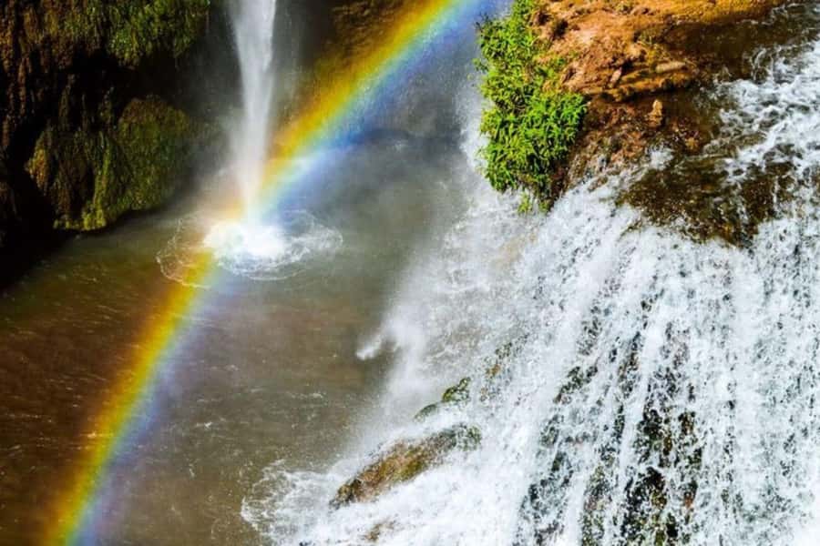 Marrakech: Ouzoud Waterfalls Trip, Guided Hike & Boat Option - Walking the Olive-Shaded Mountain Paths