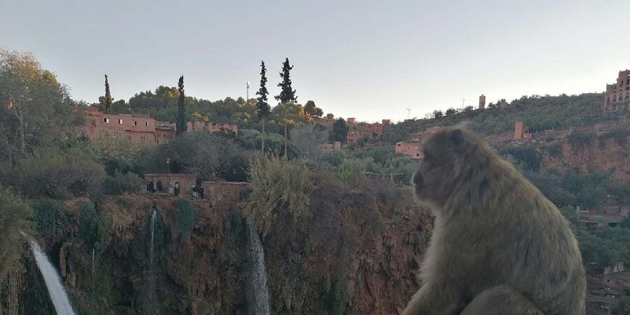 Marrakech to Ouzoud waterfalls day tour - Guide & boat ride - The boat ride beneath the falls