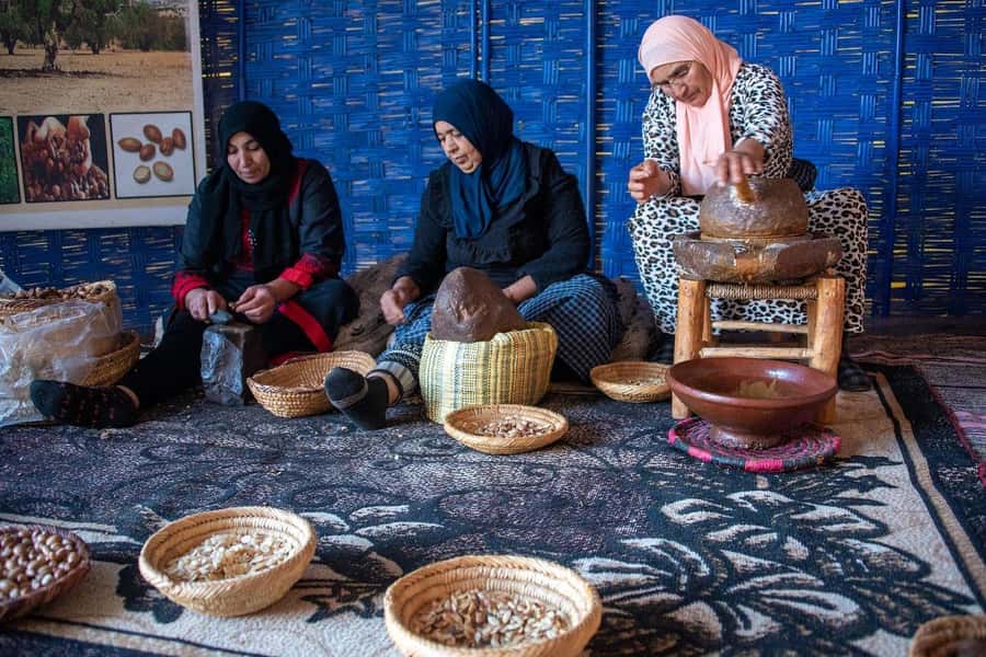 Marrakech: Waterfall, Valley, Atlas Mountain, Camel & Desert - Why this day trip works so well